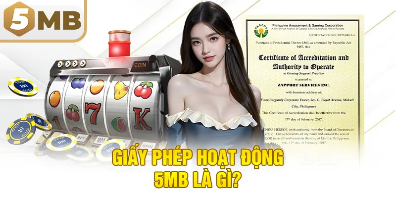 Giấy phép hoạt động 5MB là gì?