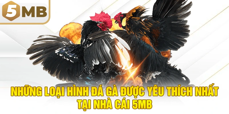 Những loại hình đá gà được yêu thích nhất tại nhà cái 5MB