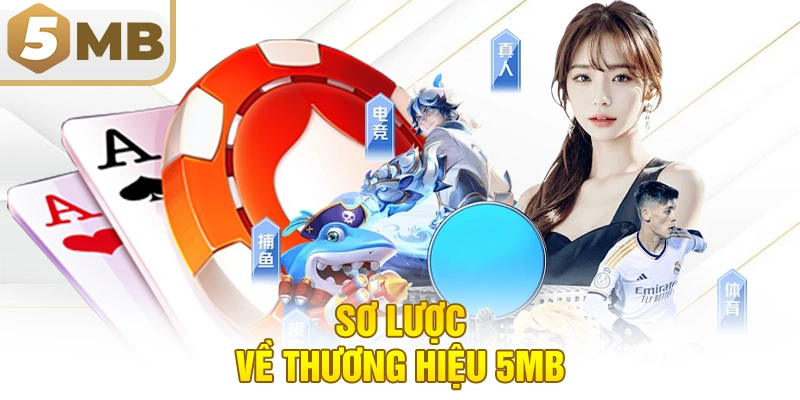 Sơ lược về thương hiệu 5MB