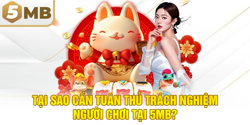 Tại sao cần tuân thủ trách nghiệm người chơi tại 5MB?