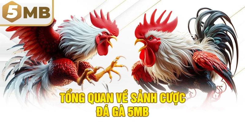 Tổng quan về sảnh cược đá gà 5MB