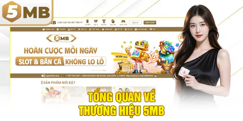 Tổng quan về thương hiệu 5MB